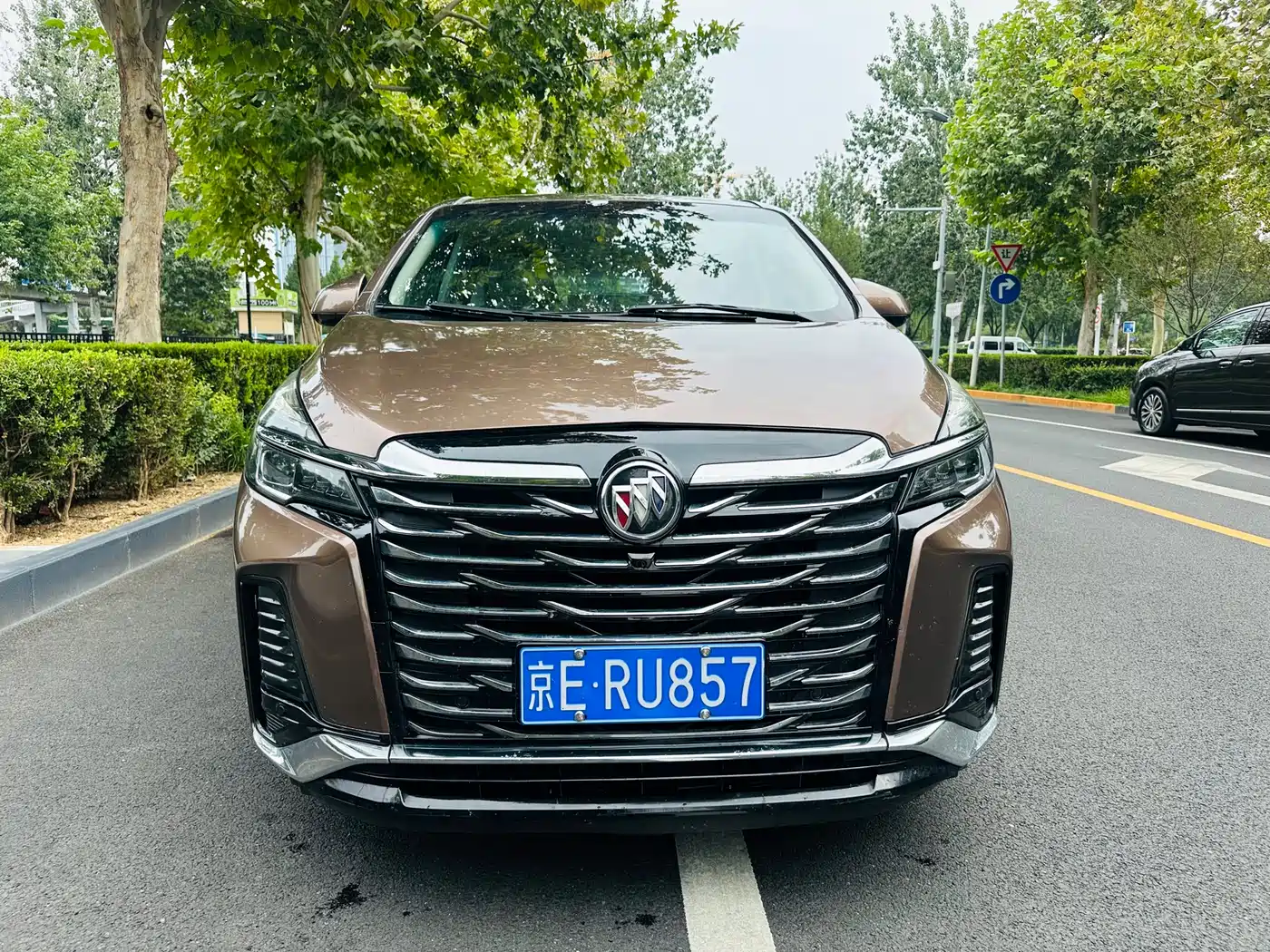 Buick GL8 2021 Land Business Class 652T Luxury фото 2