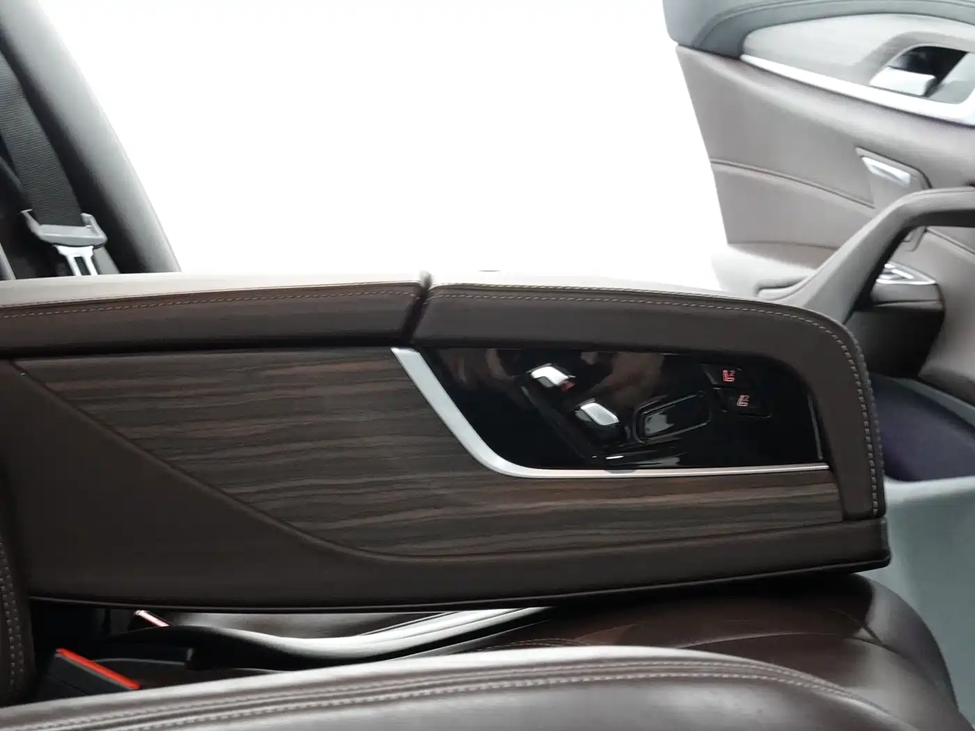 BMW 5 Series 2019 530Li Leading Luxury Package фото 21