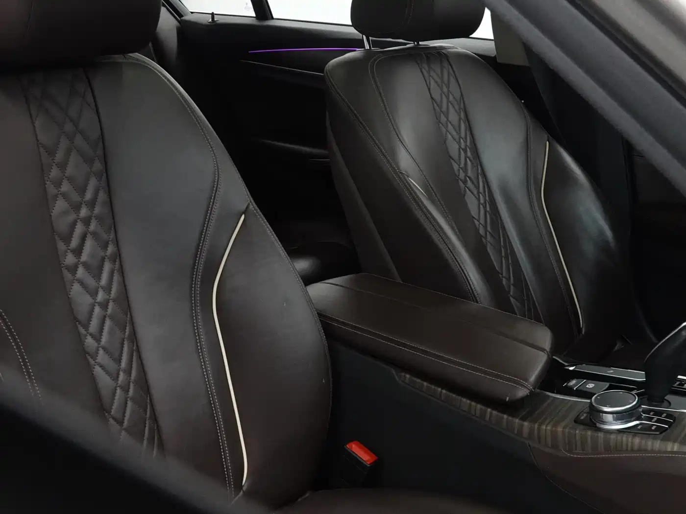 BMW 5 Series 2019 530Li Leading Luxury Package фото 27