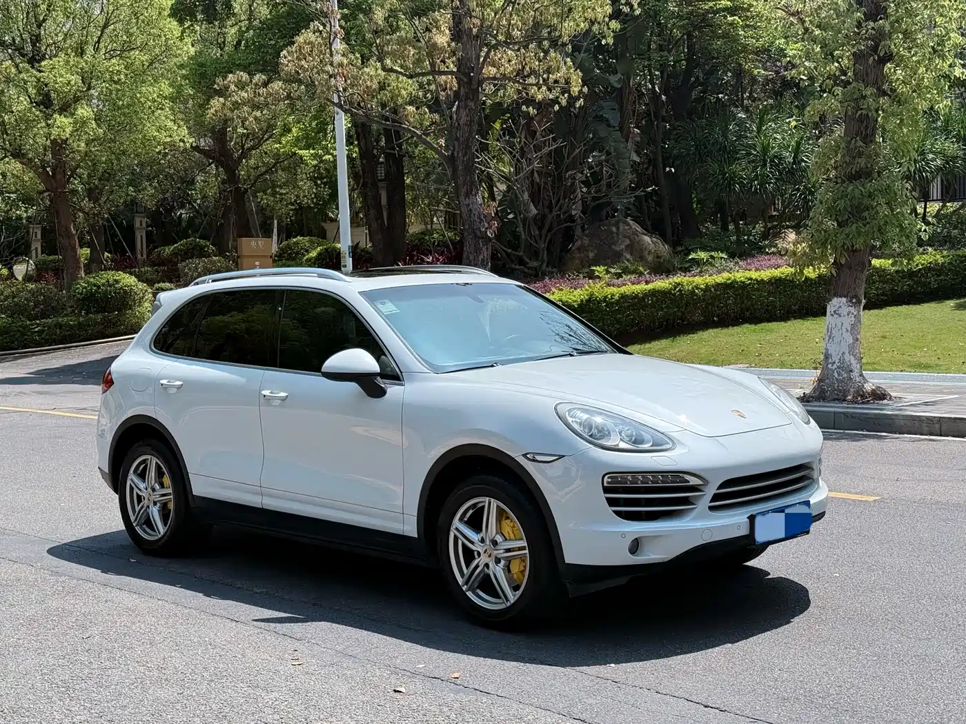 Porsche Cayenne 2014 Cayenne Platinum Edition 3.0T фото 3