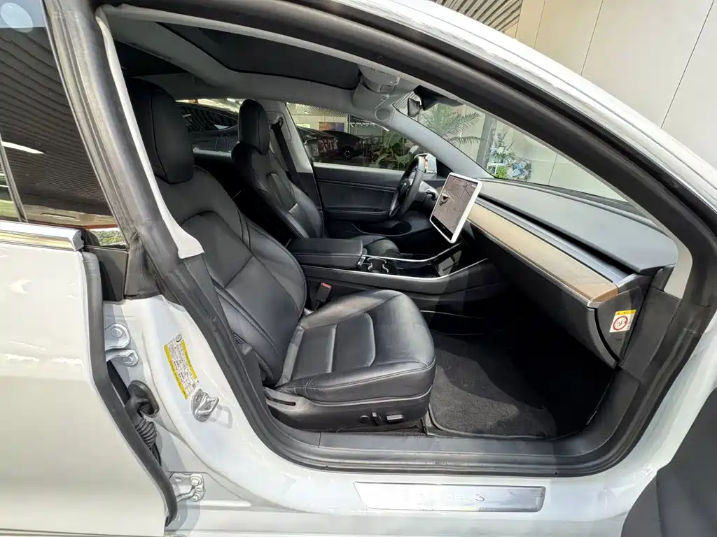 Tesla Model 3 (Import) 2019 2019 Standard Range RWD Upgraded Edition