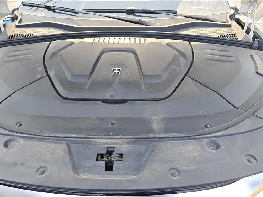 BYD SONGJIANG NEW ENERGY