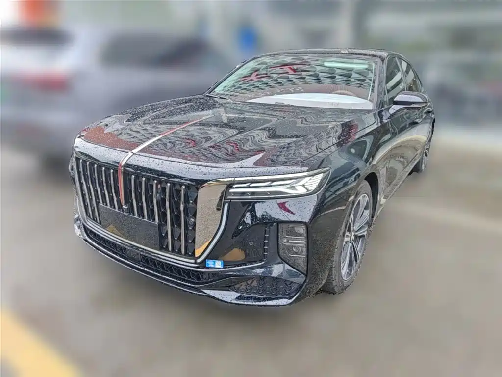 Hongqi H9 2024 2.0T Qi Enjoy Private Fashion Edition фото 3