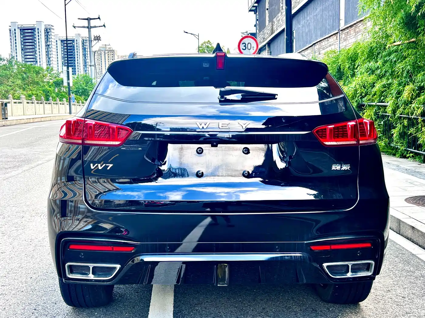 WEY VV7 2020 2020 Model 2.0T Flagship