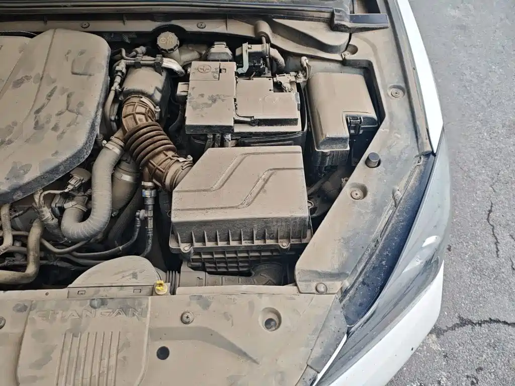 Фото 21 - Changan Eado