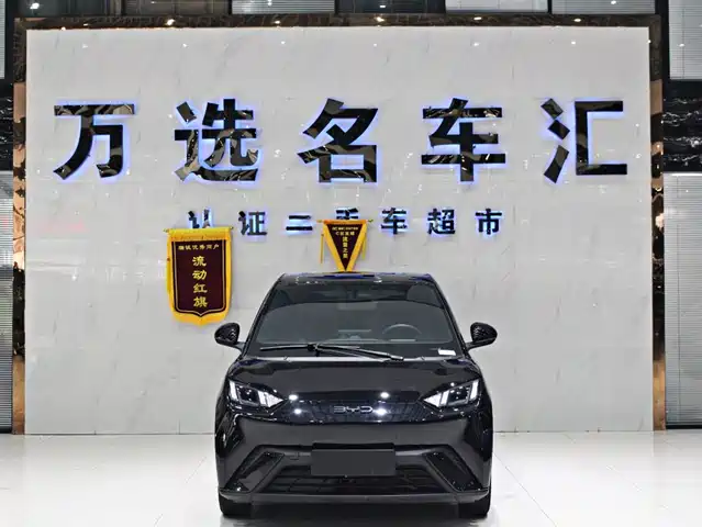 BYD Seagull 305km, Свобода