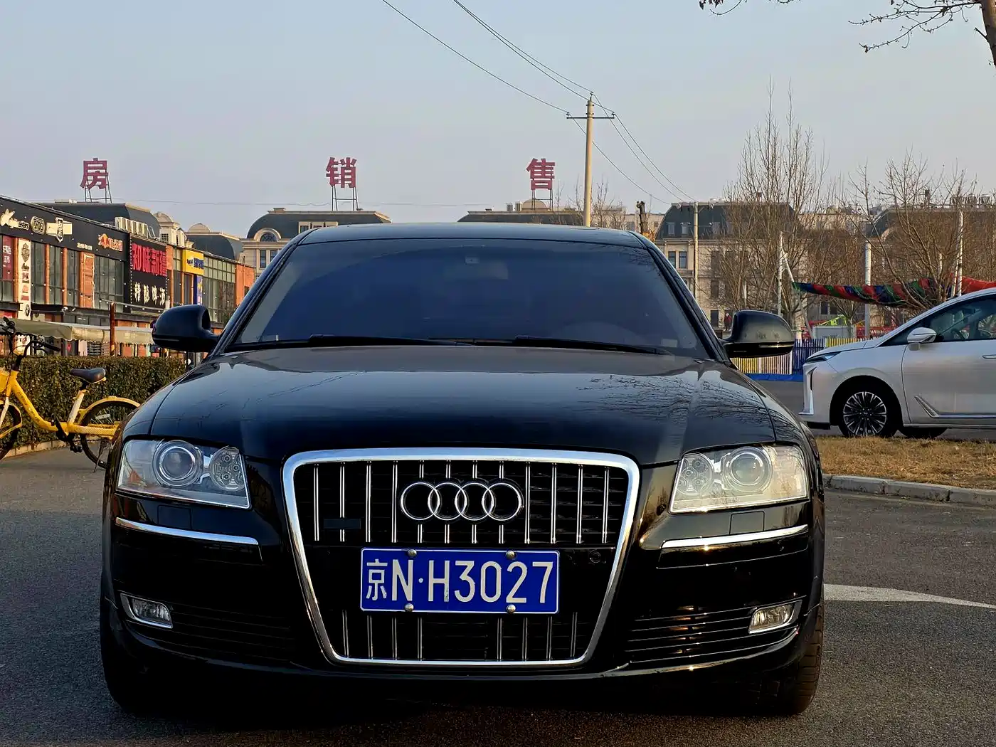 Audi A8 2009 A8L 6.0 W12 quattro Flagship