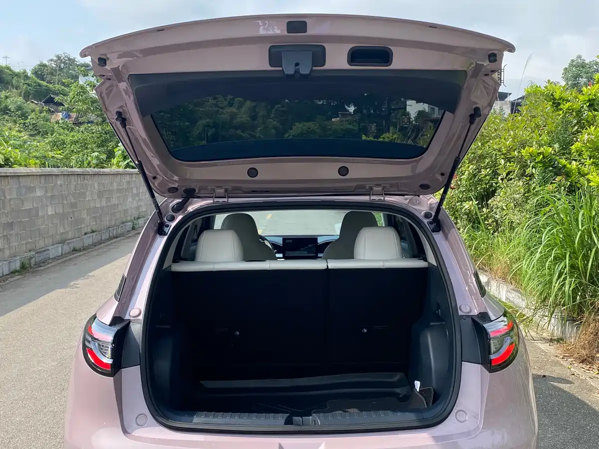 Geely Galaxy Starry Wish 2025 310km Youth Edition фото 13