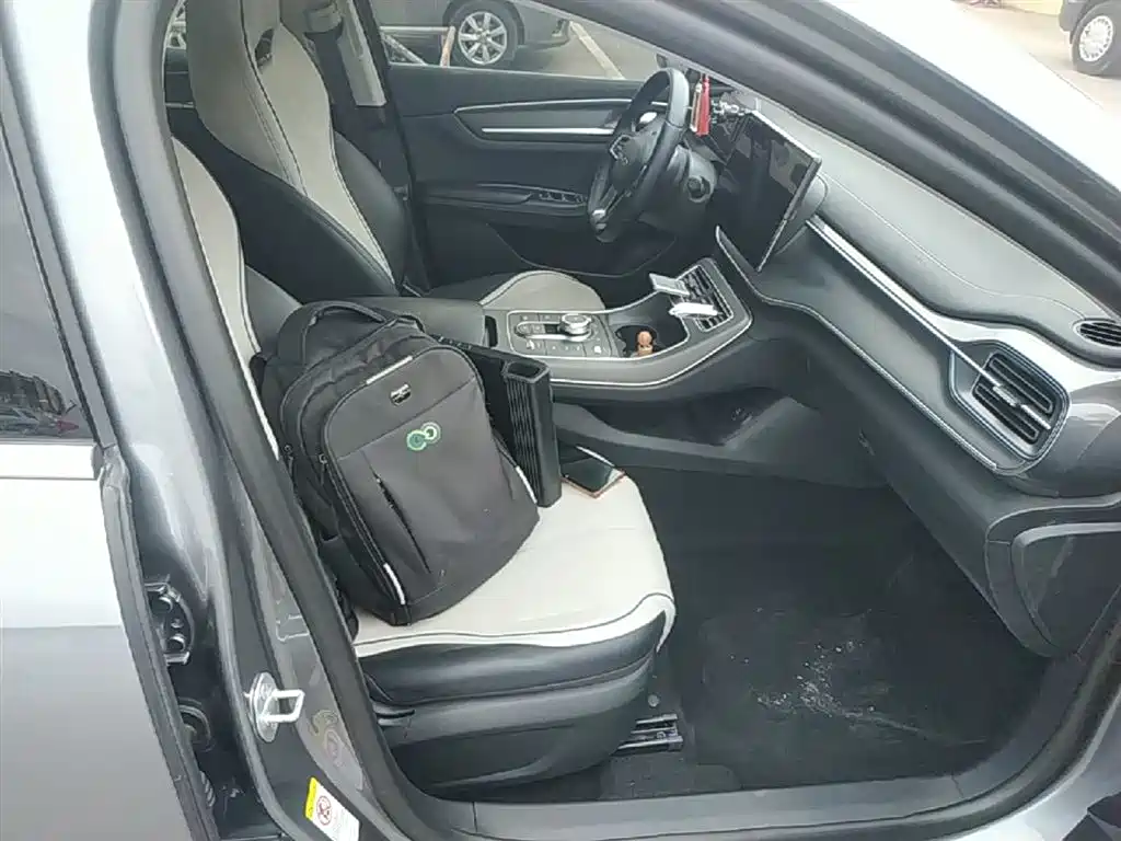 BYD Destroyer 05 2024 Glory Edition DM-i 55KM Luxury фото 25