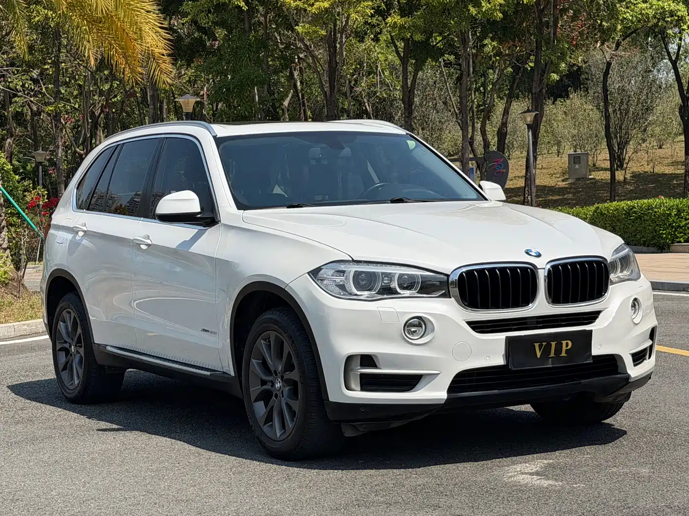 BMW X5 (Import) 2014 xDrive35i Leading фото 4