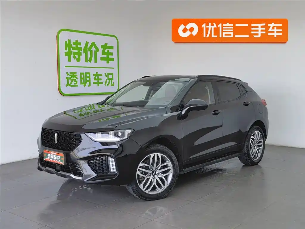 WEI PAI WEI BRAND VV5