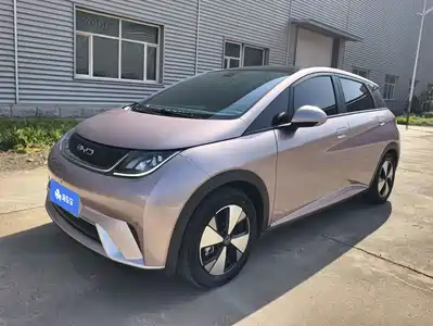 BYD Dolphin