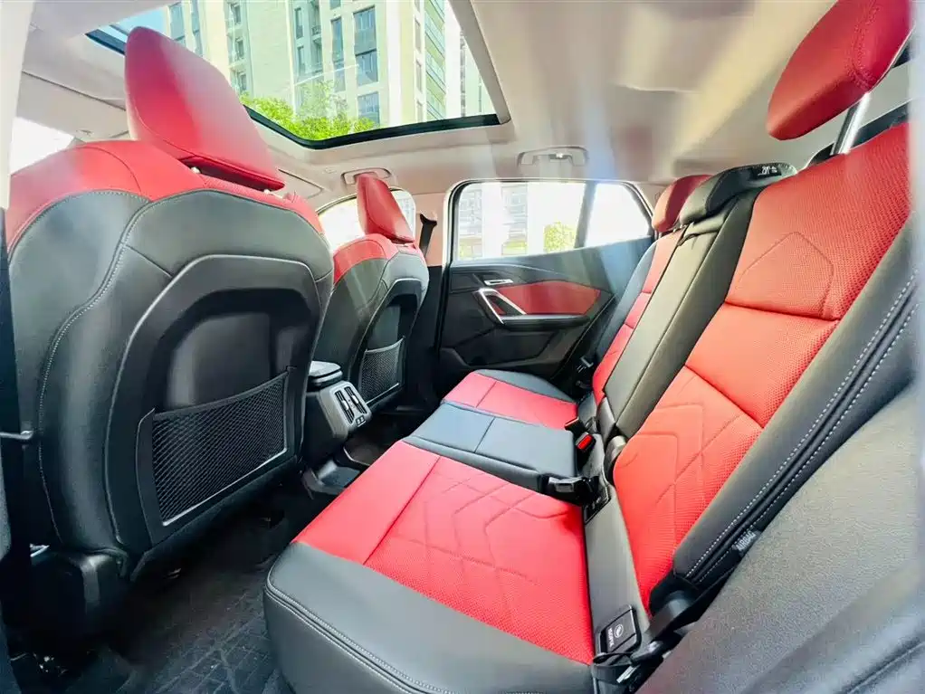 BMW X2 (IMPORT)