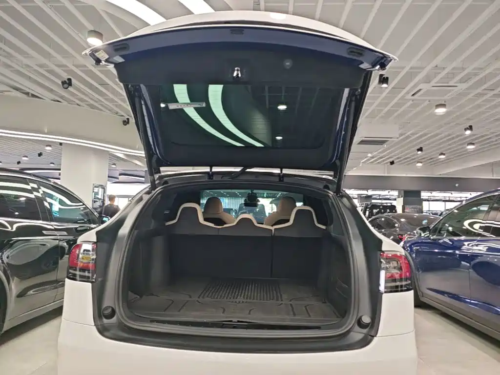 Фото 15 - Tesla Model X
