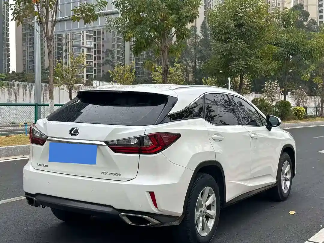 Lexus RX 2016 300 2WD Elite Edition (China V) фото 6