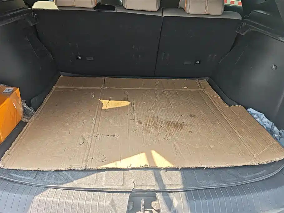 BYD SONGJIANG NEW ENERGY