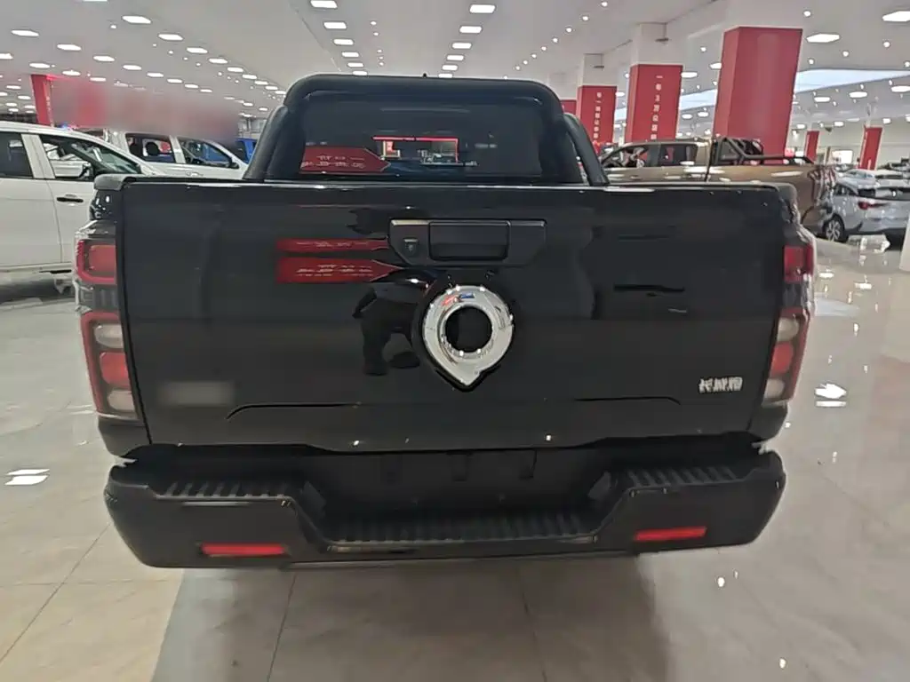 Great Wall Pao 2025 2025 2.0T Commercial Cannon Automatic Diesel 4WD Comfort
