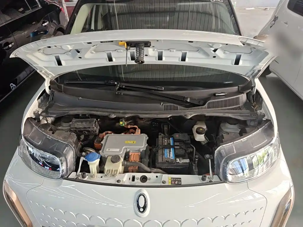 Ora White Cat 2021 2020 360km Luxury Model