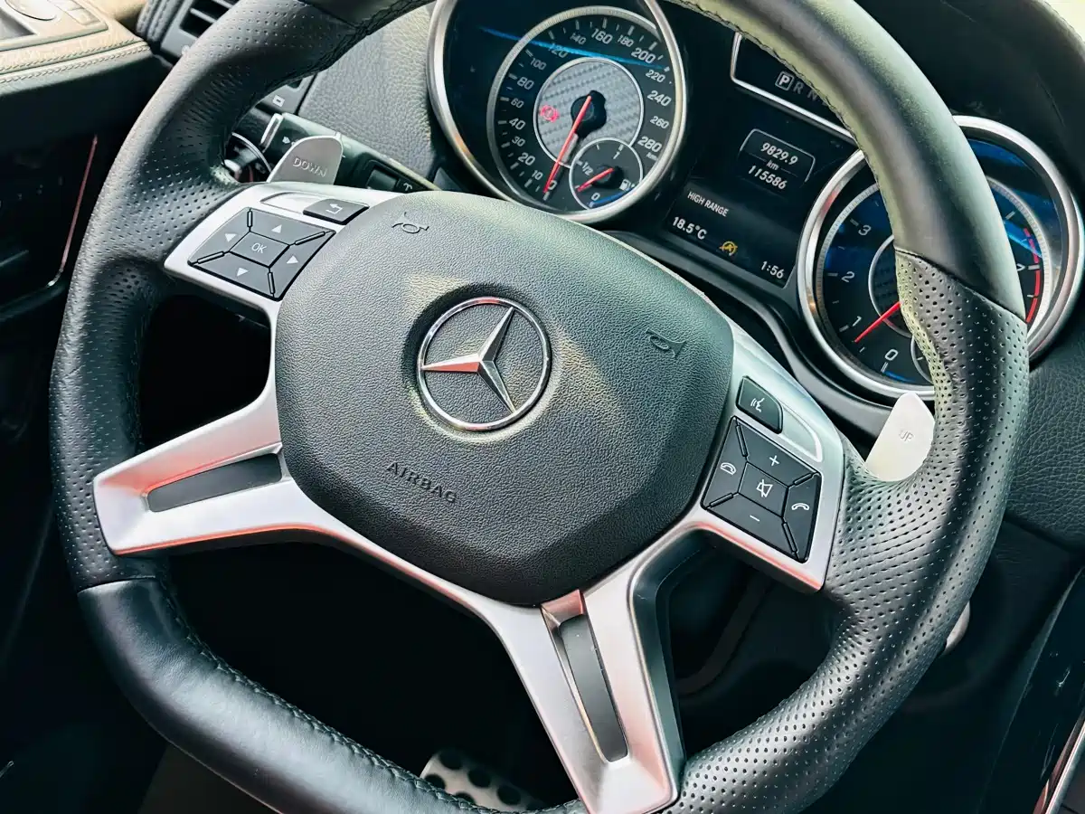 Mercedes-Benz G-Class AMG 2016 AMG G 63 фото 23