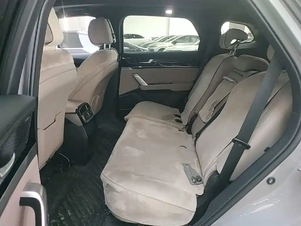 BYD Tang New Energy 2025 2025 DM-i 115KM Prestige Type