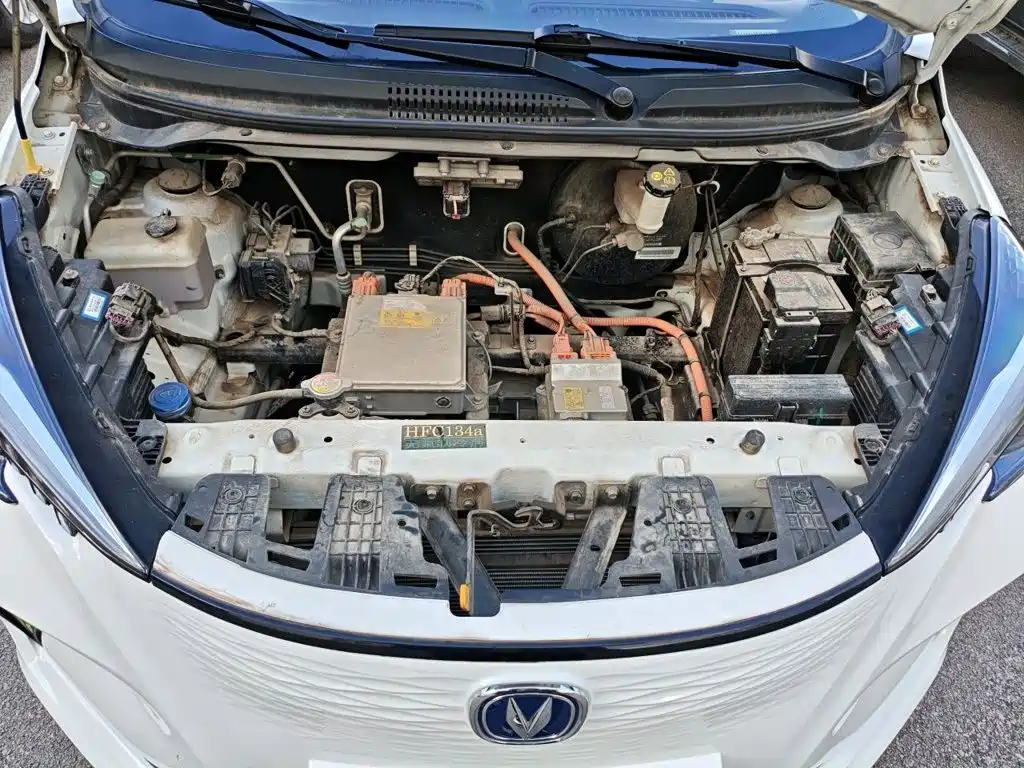Changan Benben E-Star 2020 2020 Heartbeat Edition (NMC Battery)