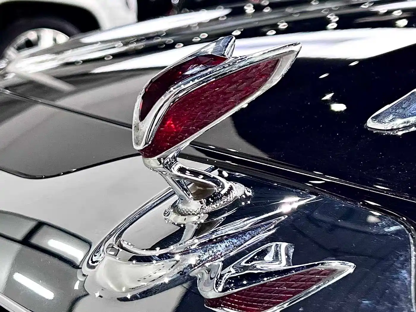Hongqi Guoya 2024 4.0T V8 Version фото 7