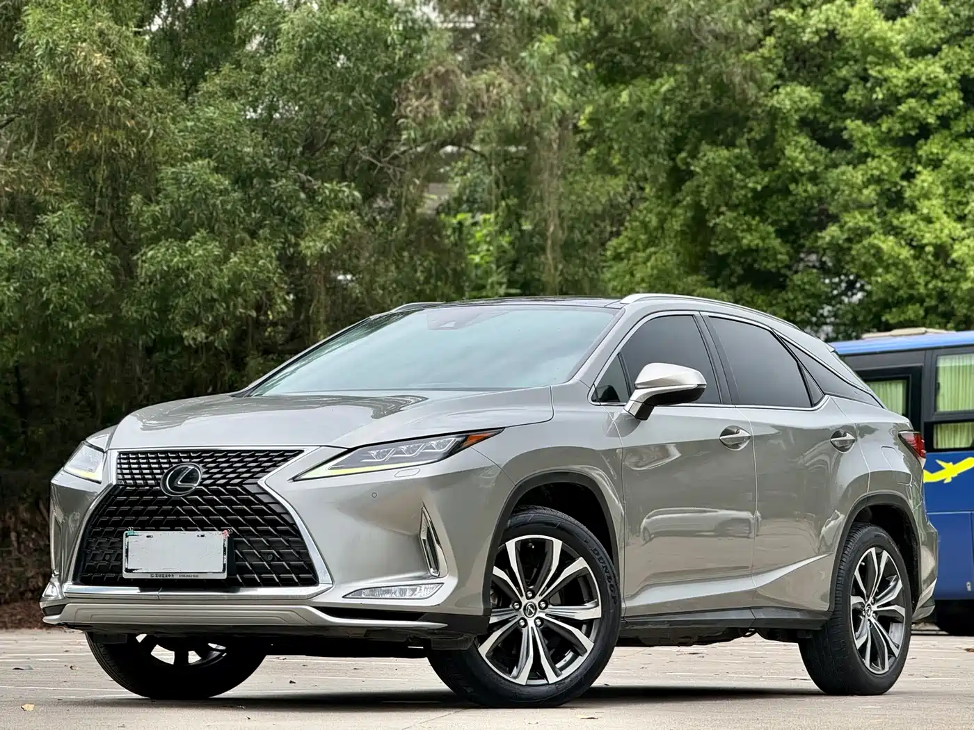 Lexus RX 2020 300 4WD Elegance Edition China VI