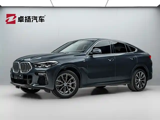BMW X6 2021 xDrive30i M Sport Package