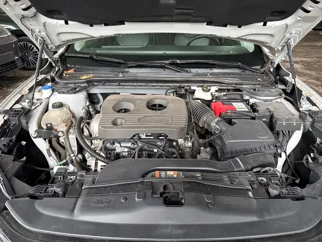 Ford Mondeo 2023 EcoBoost 180 Luxury — фото 3