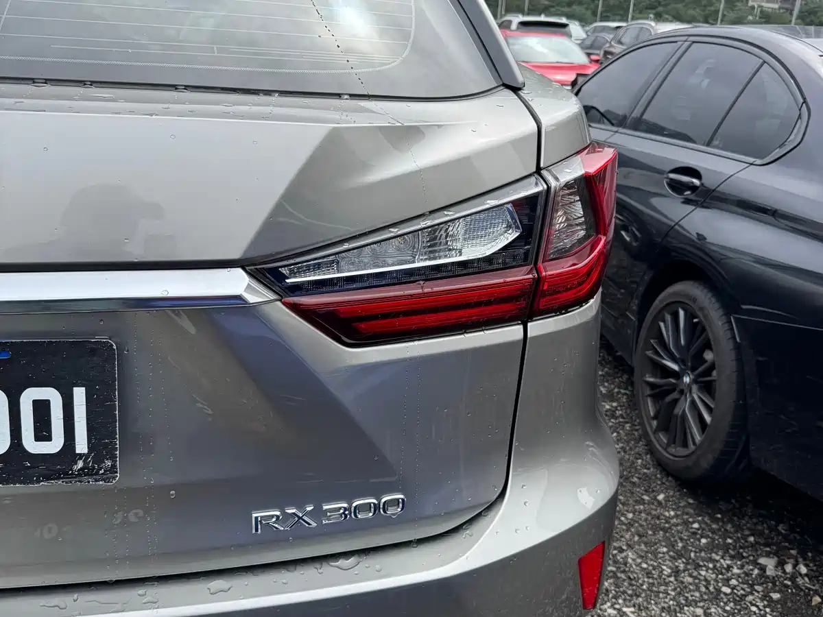 Lexus RX 2016 300 2WD Elite Edition (China V) фото 18