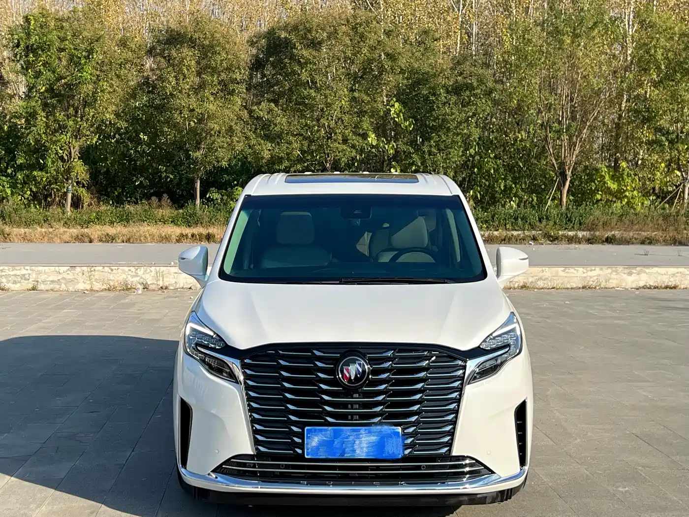 Buick GL8 2023 ES Landmaster Exclusive фото 2