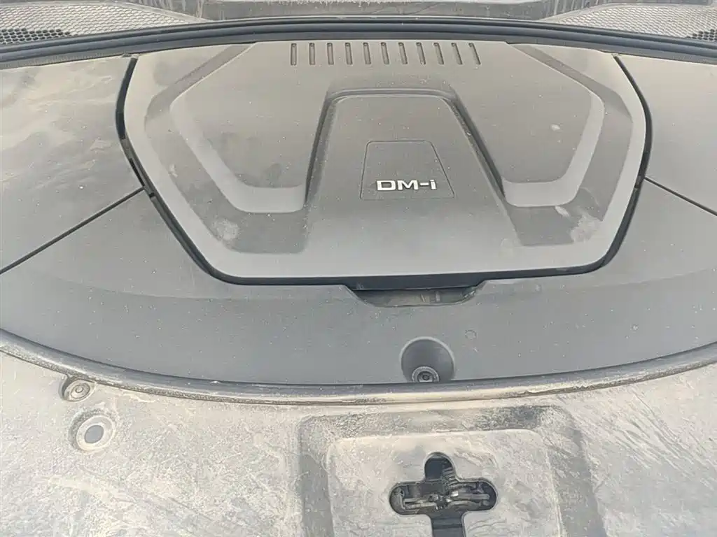 BYD Song PLUS PHEV 2025 DM-i 112KM Honor фото 20