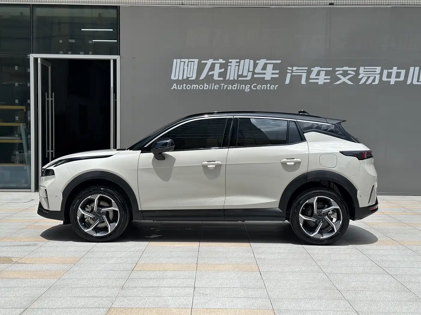 LYNK 06