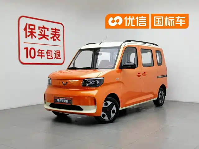  Wuling Motors Wuling Zhiguang NEV 2025 Model Comfort