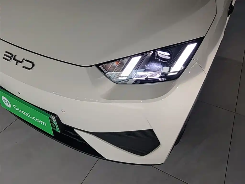 BYD Seagull 2025 Smart Drive Edition 305km Freedom Version фото 24