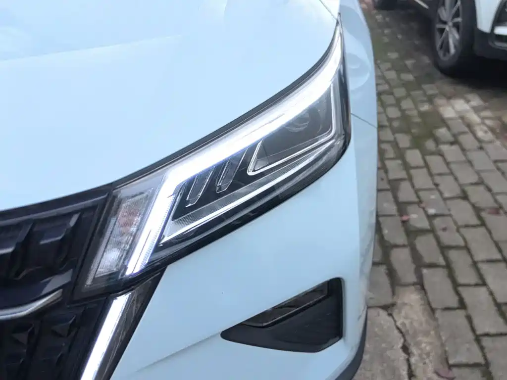 Wuling Motors Wuling Xingchen 2024 2022 2.0L DHT Electric Speed Edition