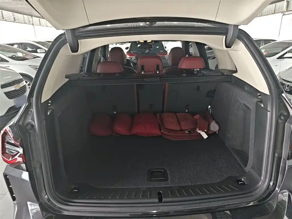 BMW X3 2022 Model Second Facelift xDrive30i Leading M Night Package фото 19