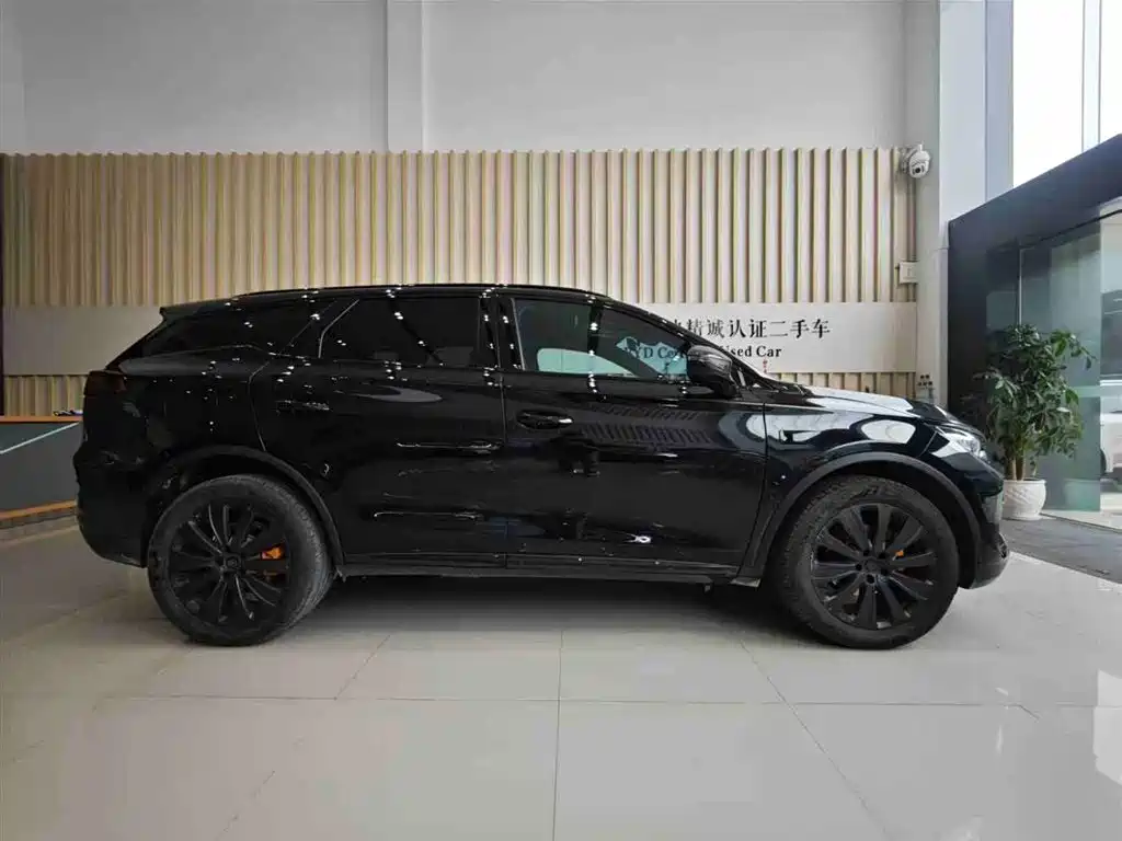 BYD Tang New Energy 2026 Smart Drive Edition DM-i 160KM Premium фото 4