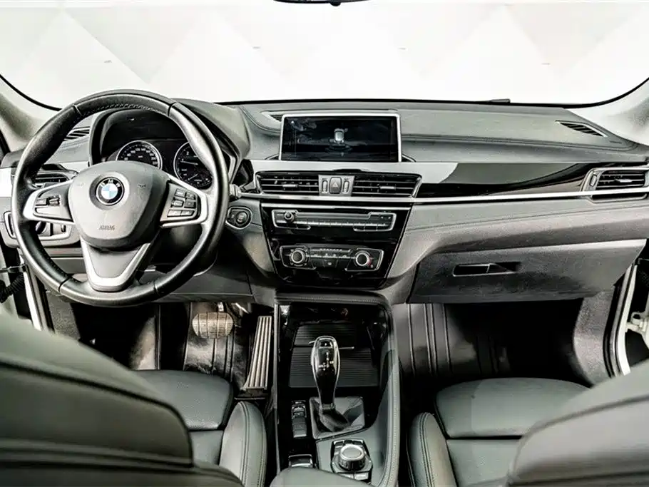 BMW X2 (Import) 2019 sDrive20i M Off-Road Package China VI фото 12