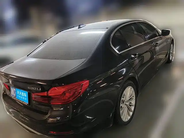BMW 5 Series 2020 530Li Premium Luxury Package — фото 2