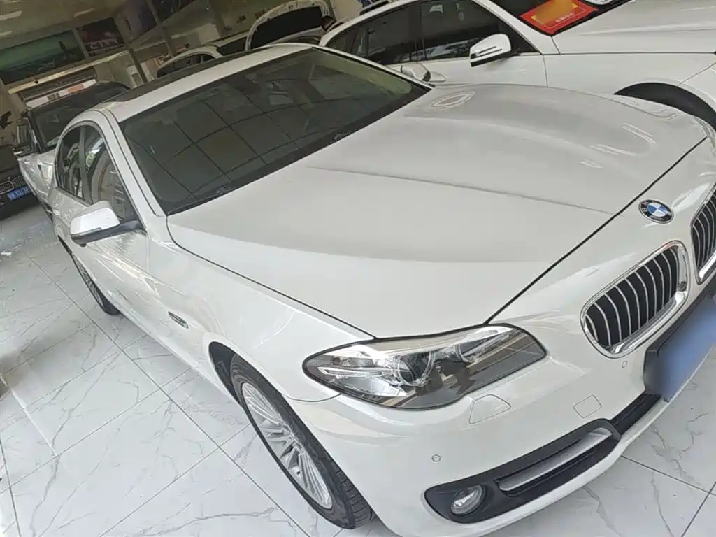 BMW 5 Series 2014 525Li Leading фото 4