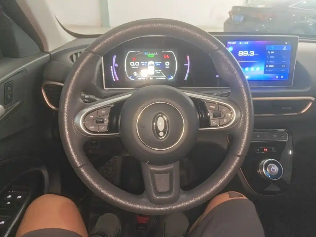 Ora White Cat 2022 2022 Wildcat Edition 360km Premium Type NCM