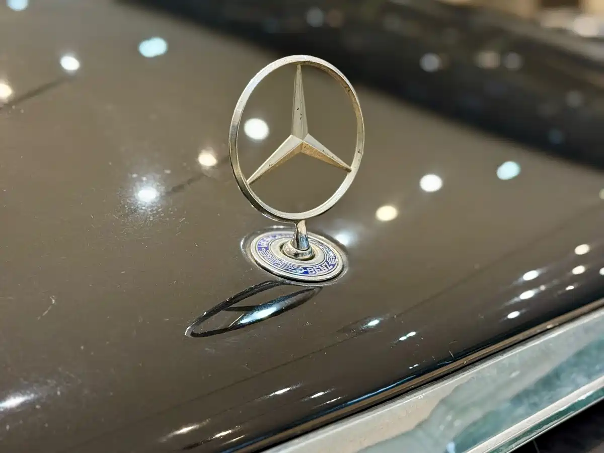 Mercedes-Benz S-Class 2004 S 500 фото 16