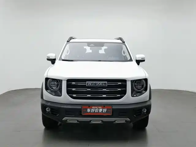 Haval Big Dog 2022 1.5T DCT FWD Malinois Edition — фото 3