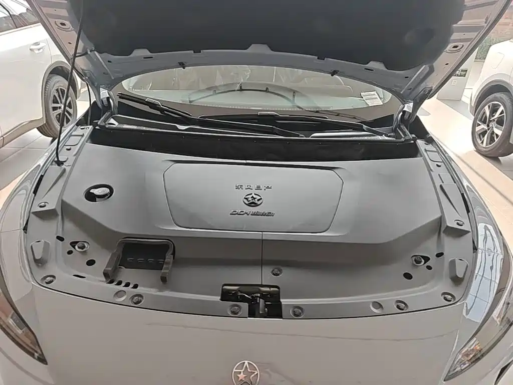 Venucia DaV DD-i 2026 2025 Orca 150km Deluxe Edition