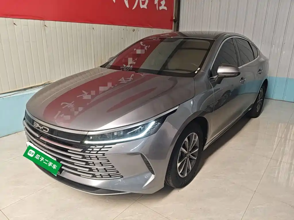 BYD Destroyer 05 2024 Glory Edition DM-i 55KM Luxury