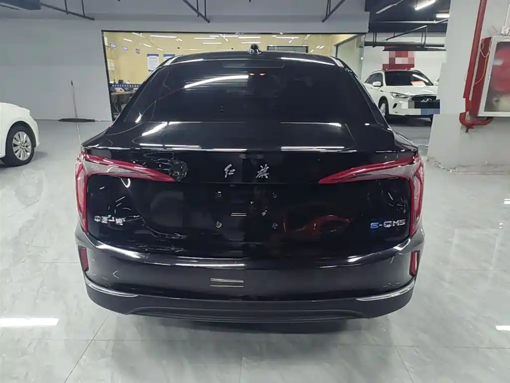 Hongqi E-QM5 2023 Facelift Basic Travel Edition фото 6