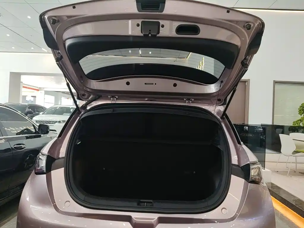 BYD Dolphin 2022 2021 Model 405km Fashion Edition