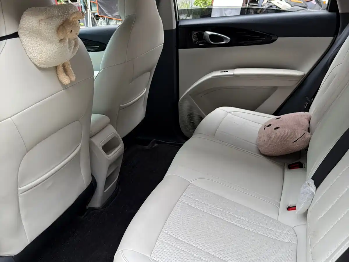 Geely Galaxy Starry Wish 2025 2025 310km Youth Edition