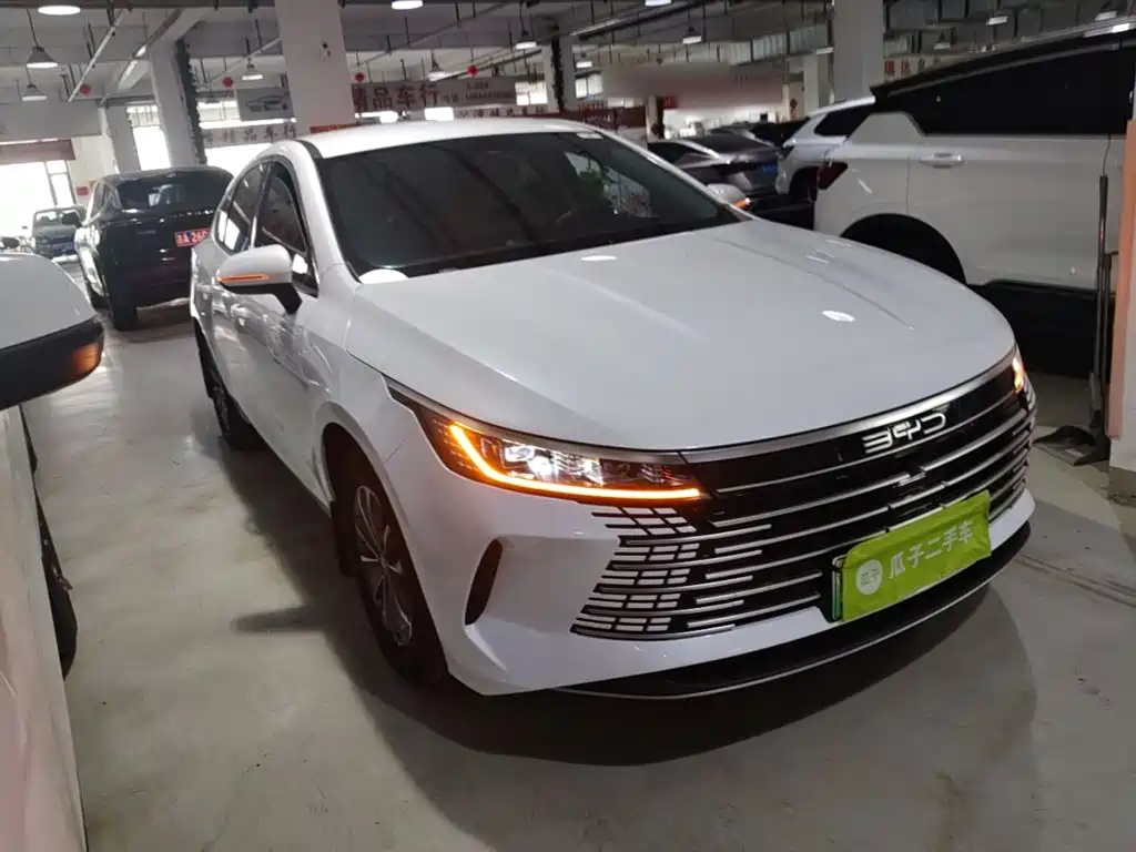 Фото 4 - BYD Destroyer 05